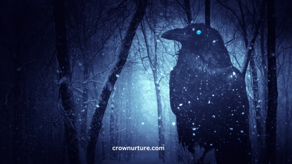 Are Crows Nocturnal