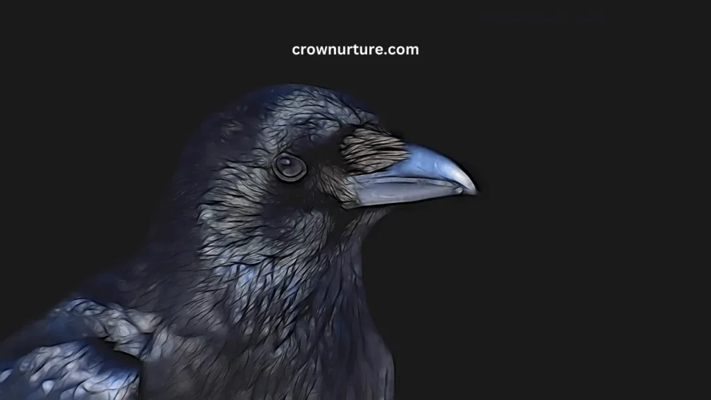 Are Crows Smarter Than Ravens