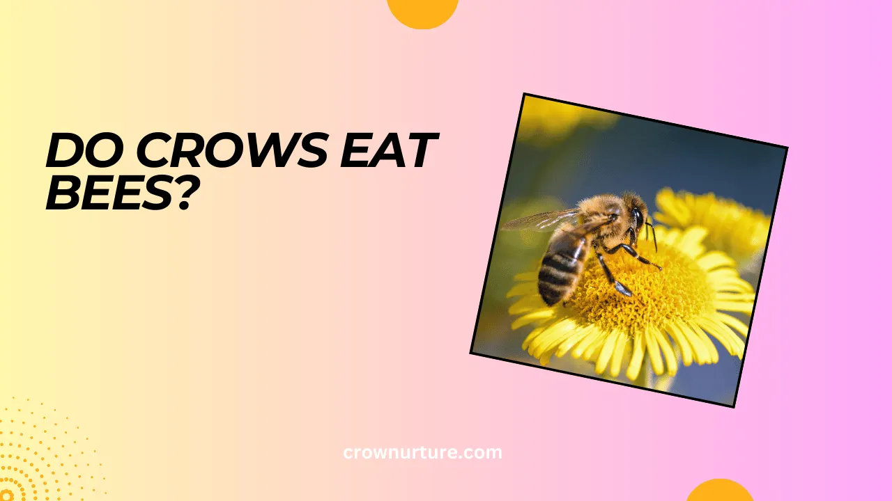 Do Crows Eat Bees