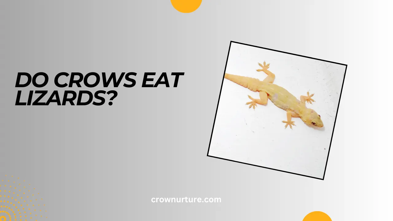 Do Crows Eat Lizards