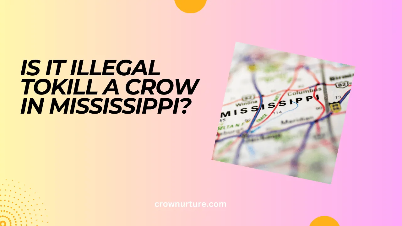 Is It Illegal Tokill A Crow In Mississippi